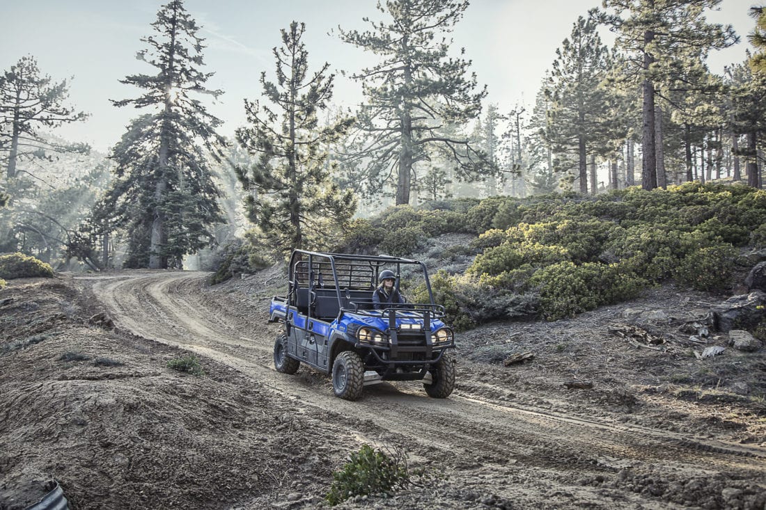 2017 Kawasaki Mule Pro