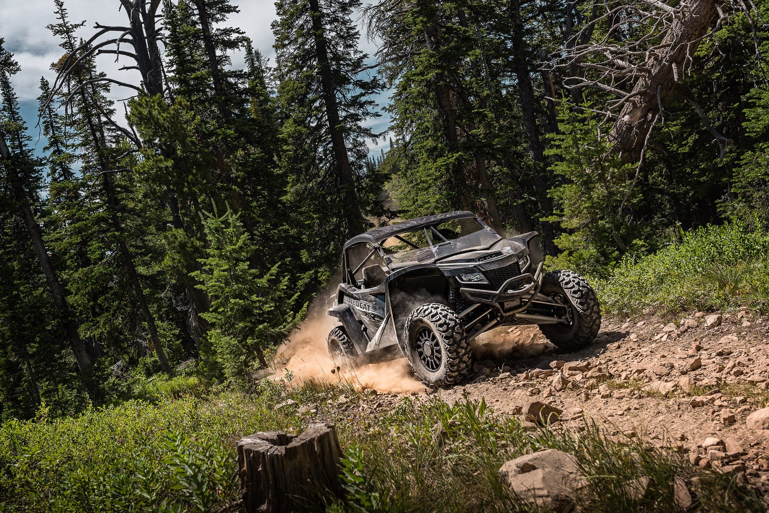 2019 Textron Off Road Wildcat XX LTD