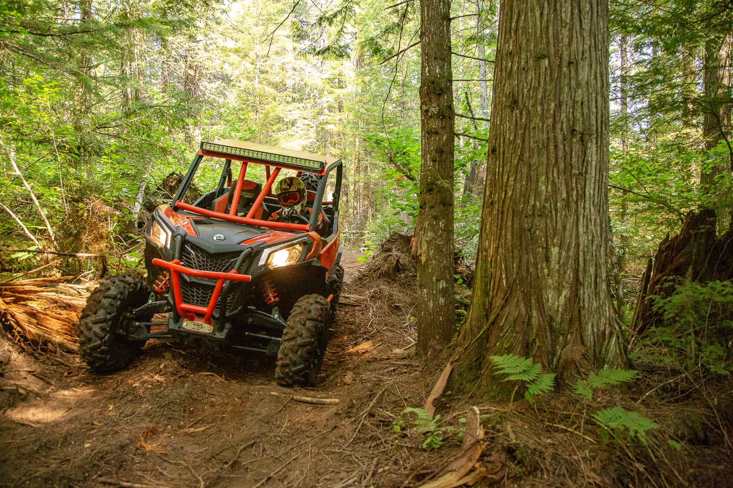 2019 Can-Am Maverick Sport Review