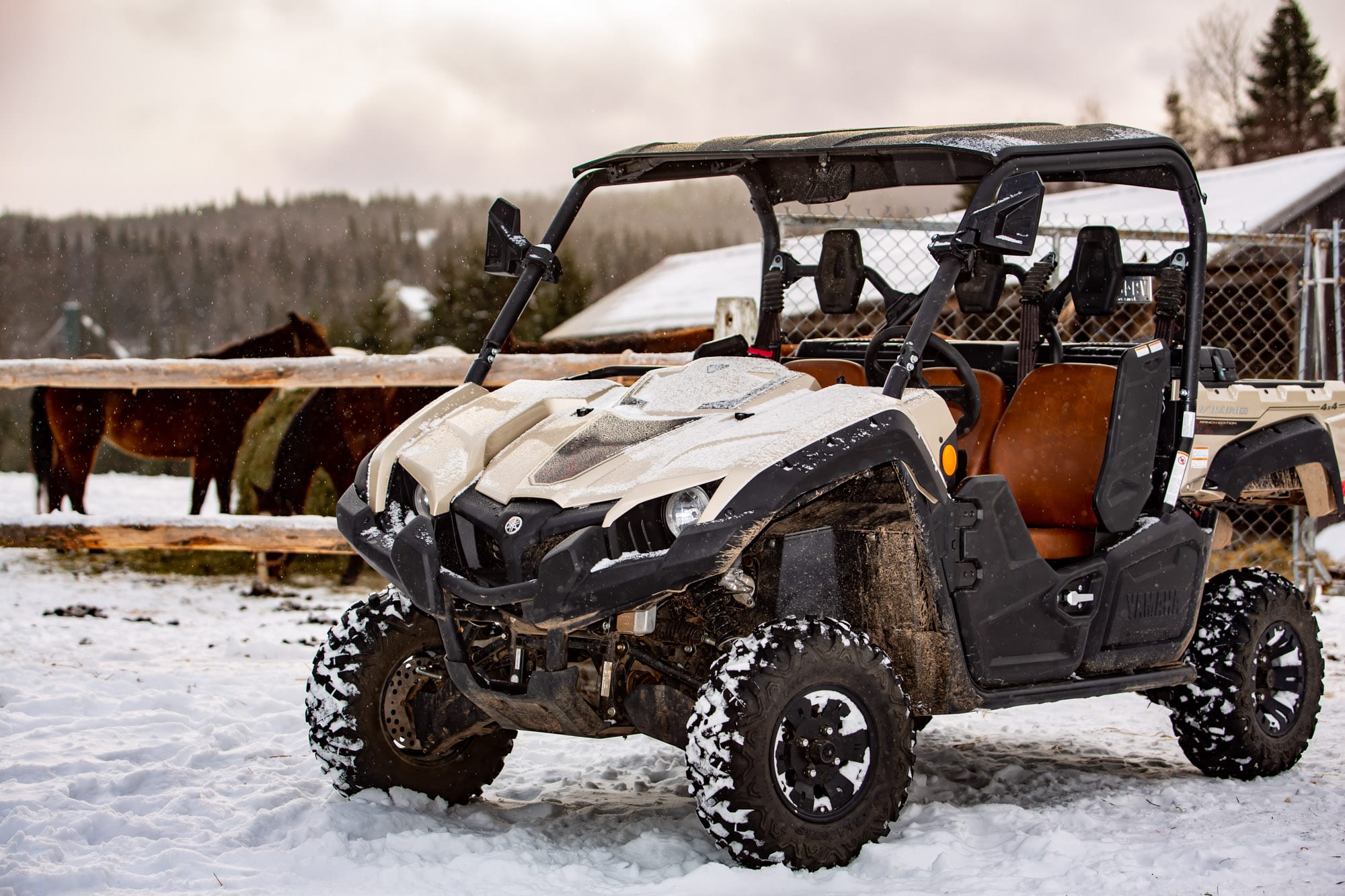 panorama Araña de tela en embudo dilema 2020 Yamaha Viking Ranch Edition Review - UTV Planet Magazine